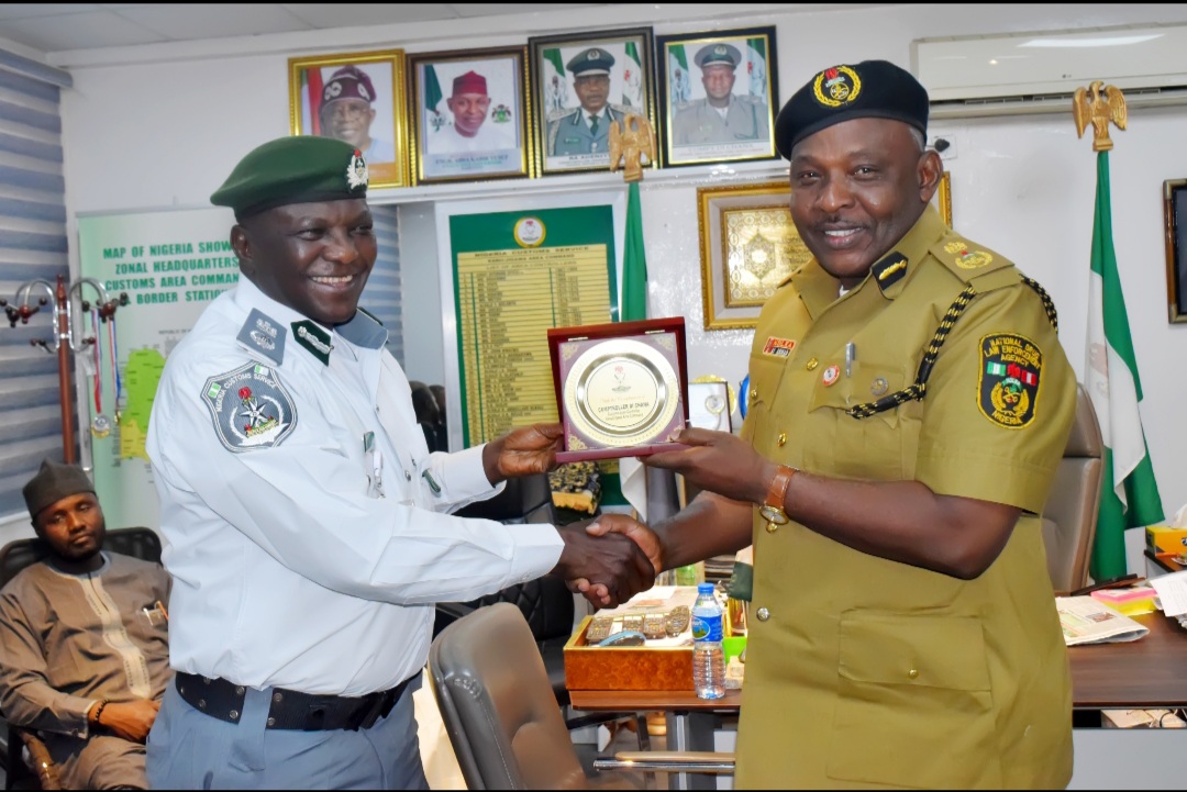 Kano/Jigawa Customs Area Command Successfully Concludes Government Agencies' Tour, Hands Over Seized Illegal Items
