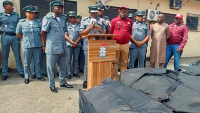 Customs TCIP Seizes N682m Worth of Cannabis, Hands Over to NDLEA