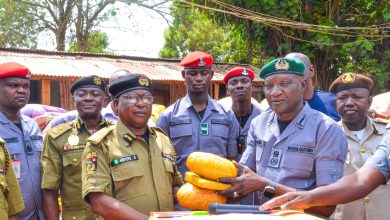 Ogun I Customs Strengthens Border Security, Hands Over Seized Cannabis to NDLEA