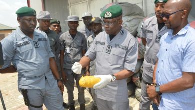 Customs WMC Cracks Down on Waterway Smuggling, Seizes 1,958kg of Cannabis