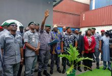 Customs Reaffirms Commitment to Public Health Through Robust Enforcement Actions