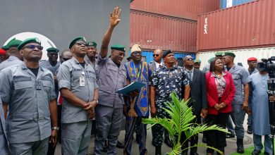 Customs Reaffirms Commitment to Public Health Through Robust Enforcement Actions
