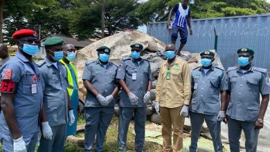 Customs Hands Over Seized Donkey Parts Worth ₦3.94 Billion to NESREA in Kaduna …Warns Traffickers Against Illegal Wildlife Trade By Opeyemi Omodara The Nigeria Customs Service (NCS), Federal Operations Unit (FOU) Zone ‘B’, Kaduna, on Tuesday, 30 September 2025, handed over seized donkey bones and skins to the National Environmental Standards and Regulations Enforcement Agency (NESREA) at the Command’s Headquarters in Kaduna, marking a decisive step against illegal wildlife trafficking This was disclosed in a press release issued on Tuesday, 30 September 2025, by the Command Public Relations Officer, Chief Superintendent of Customs (CSC) Saidu Nuruddeen. Comptroller Aminu Sule, in charge of the Unit, described the seizure as a critical move to safeguard endangered species and protect Nigeria’s ecological balance. He explained that the confiscated items included 700 bags of donkey bones, valued at ₦1.86 billion, and 2,500 pieces of donkey skin, worth ₦2.07 billion, intercepted in separate operations. The donkey skins were seized on 18 September 2025, while the donkey bones had been confiscated earlier, bringing the total duty-paid value to more than ₦3.94 billion. “Donkeys are a lifeline to rural communities, serving as a means of livelihood and local transportation. Their indiscriminate slaughter undermines sustainable development,” Comptroller Sule said. Issuing a stern warning to traffickers, he added, “This seizure is a clear message to traffickers, FOU Zone ‘B’ will not relent in enforcing environmental laws, protecting endangered species, and ensuring Nigeria does not become a hub for illegal wildlife trade.” The Comptroller further commended his officers for their vigilance and acknowledged the intelligence support of sister agencies. He emphasised that the operation reflects the Comptroller-General of Customs, Adewale Adeniyi’s policy thrust of Collaboration, Consolidation, and Innovation. He further urged communities, transporters, and traders to support the fight against wildlife trafficking by reporting any suspicious activities related to it. In response, NESREA’s State Coordinator in Kaduna, Hene Emmanuel, praised the Customs Service for its proactive enforcement and pledged that the agency would immediately initiate an investigation, ensure the safe disposal of the seized items, and trace those responsible for the illicit trade. He stressed that donkey parts trafficking poses grave ecological and socio-economic risks, and reaffirmed NESREA’s commitment to working closely with Customs and other stakeholders in combating environmental crimes. The handover event, attended by representatives of various security and regulatory agencies, concluded with the formal handover of the donkey parts to NESREA for further action in line with national environmental laws.