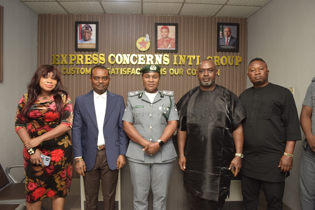 Customs Foils Smuggling Attempt, Seizes Harmful Items Worth N112.6m in ...