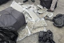Apapa Customs, NDLEA Jointly Intercept 1,187kg of Cannabis Concealed in Imported Vehicles