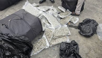Apapa Customs, NDLEA Jointly Intercept 1,187kg of Cannabis Concealed in Imported Vehicles
