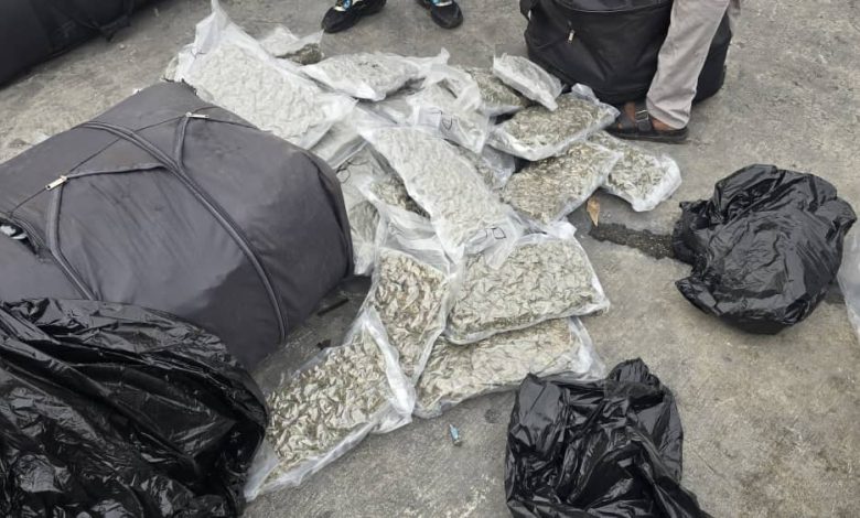 Apapa Customs, NDLEA Jointly Intercept 1,187kg of Cannabis Concealed in Imported Vehicles