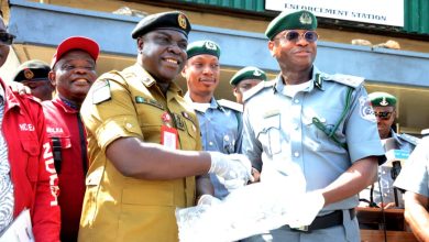 Tincan Customs Records Significant Operational Breakthrough in Anti-Drug War