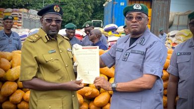 Customs Unleashes ‘Operation Hawk’, Hits Hard on Drug Trafficking Syndicates By Femi Anamelechi The Nigeria Customs Service (NCS), Federal Operations Unit (FOU) Zone ‘A’, has intensified enforcement operations across the South-West zone, seizing cocaine, cannabis, and other contraband while foiling 473 smuggling attempts in the past eight weeks. Speaking during a press briefing in Lagos on Tuesday, 5 May 2026, the Comptroller of FOU Zone ‘A’, Gambo Aliyu, disclosed that the Unit, through its special anti-narcotics initiative Operation Hawk, recorded the interception of 3,340 parcels of synthetic cannabis, popularly known as ‘Ghanaian Loud’, weighing 1,540 kilograms. "This effort is an affirmation of our commitment to the fight against drug-smuggling syndicates in the Zone. Our analysis of the trend in recent times indicates that the traffickers are devising different methods to perpetuate illicit trade; therefore, there is a need for critical security stakeholders to upscale their intelligence sharing mechanism to cut the supply chain completely", Comptroller Aliyu said. In another operation, Comptroller Aliyu noted that officers of the unit intercepted a Toyota Highlander along the Lagos–Abidjan corridor, leading to the arrest of a 71-year-old suspect, with 6.4 kilograms of cocaine and methamphetamine valued at about ₦2.35 billion recovered. Beyond drug seizures, he said the Unit recorded major interceptions of contraband, including 8,794 bags of foreign parboiled rice, 22 used Tokunbo vehicles, 485 pieces of used tyres, and other prohibited goods, with a total Duty Paid Value of over ₦5.5 billion. He also revealed the interception of four cylinders of high-grade mercury concealed in a vehicle at the Gbaji outpost, noting that the hazardous material would be transferred to the National Environmental Standards and Regulations Enforcement Agency (NESREA) for further action. On revenue recovery, Aliyu said the Unit generated over ₦97.7 million through demand notices issued on improperly declared consignments during the period under review. Reaffirming the Unit’s resolve, Aliyu said FOU Zone ‘A’ would continue to deploy advanced technology to strengthen border security, while maintaining a balance between enforcement and trade facilitation. "While we maintain vigilance against smuggling, fraud and criminalities, the FOU remains a strong partner in trade facilitation. We continue to support legitimate trade through intelligence-driven operations that strike a balance between security enforcement and economic growth", he stated. The illicit drugs and three suspects were handed over to Commander Mohammed Kabiru of the National Drug Law Enforcement Agency (NDLEA) for further investigations.