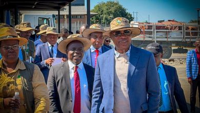 Nigeria Customs, Benin, Cameroon Advance Regional Border Modernisation at Beitbridge Benchmarking Mission