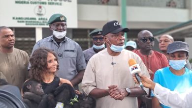 Customs Warns Wildlife Traffickers After Kano Interception