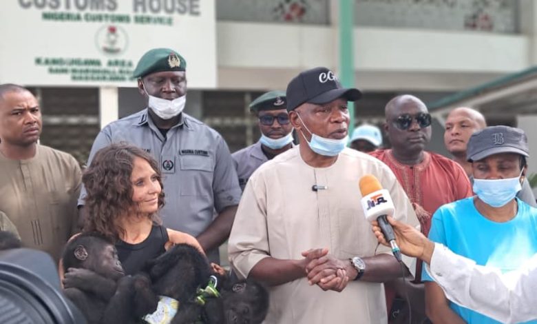 Customs Warns Wildlife Traffickers After Kano Interception
