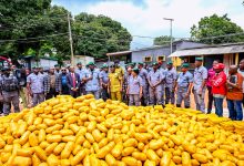 Ogun I Customs Hits Economic Saboteurs, Seizes Cannabis, Others Worth ₦2.4bn egal goods," he said.