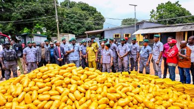 Ogun I Customs Hits Economic Saboteurs, Seizes Cannabis, Others Worth ₦2.4bn egal goods," he said.