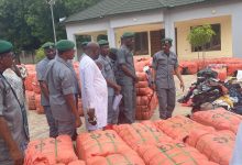 Sokoto/Zamfara Customs Foils Circulation of Fake Drugs, Seizes Goods Worth N721.9m