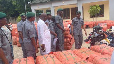 Sokoto/Zamfara Customs Foils Circulation of Fake Drugs, Seizes Goods Worth N721.9m